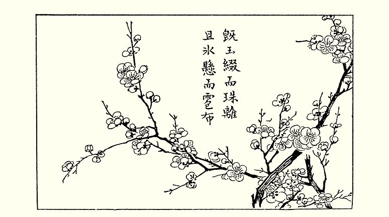 photo16.jpg