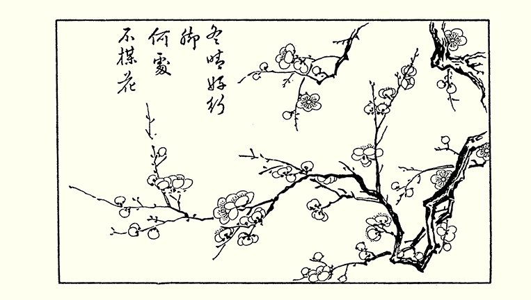photo19.jpg