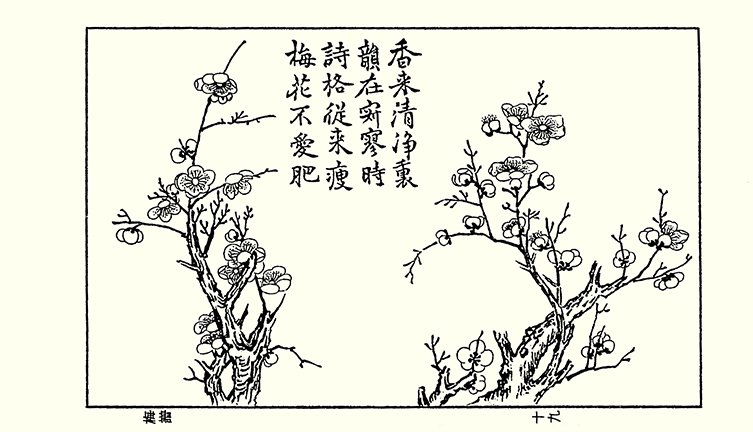 photo25.jpg