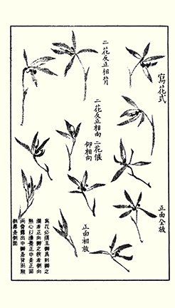 photo30.jpg