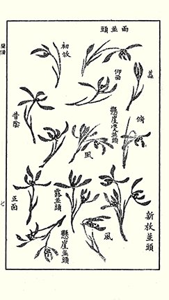 photo35.jpg