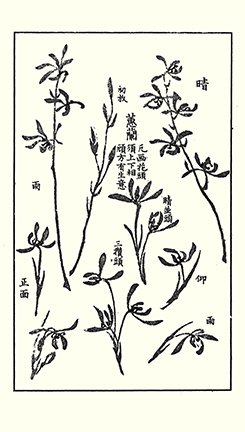 photo36.jpg