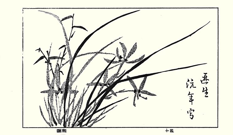 photo46.jpg