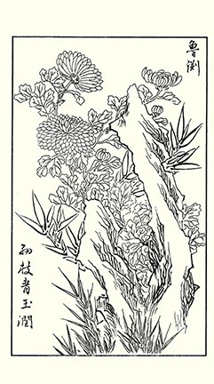 photo63.jpg