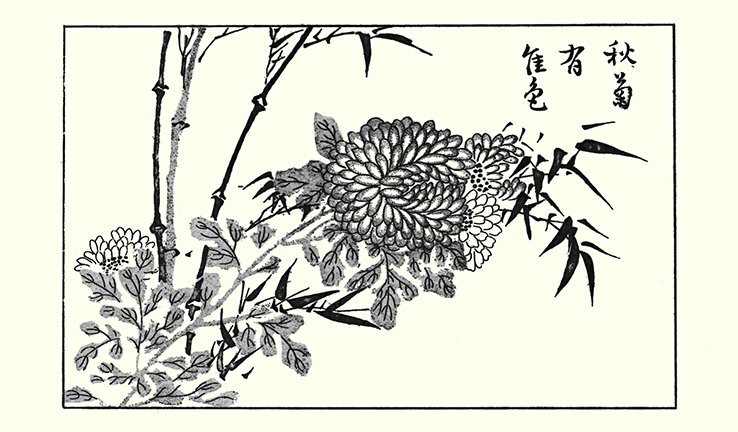 photo74.jpg