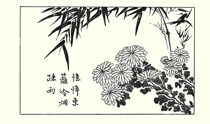 photo80.jpg