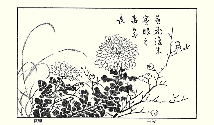 photo81.jpg