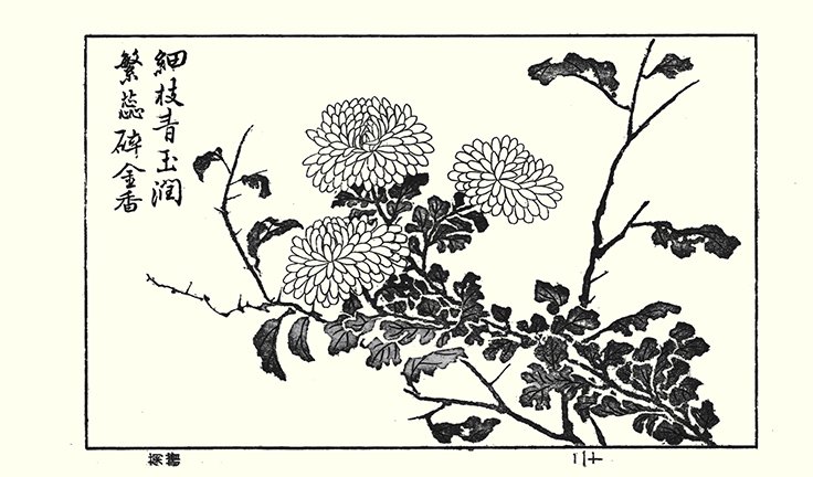 photo87.jpg