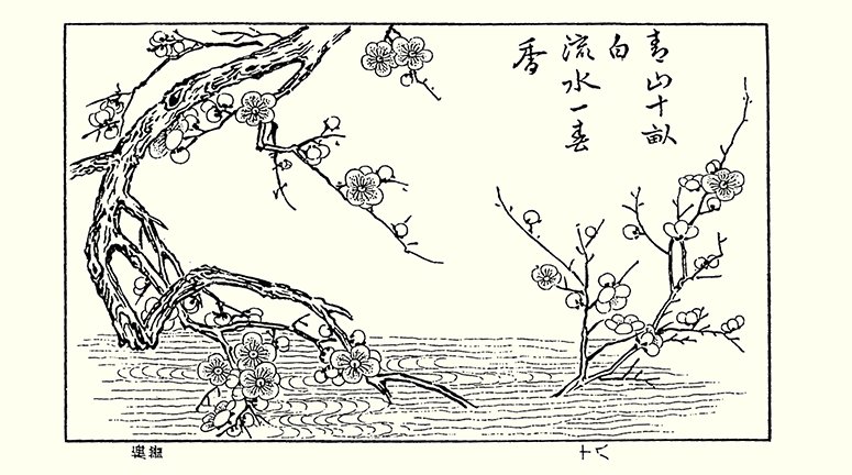 photo4.jpg