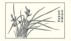 photo5_small.jpg