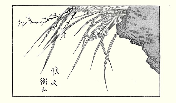 photo7.jpg