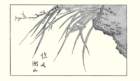 photo7_small.jpg