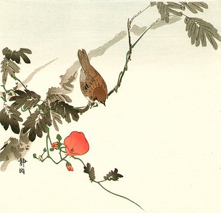 photo.jpg
