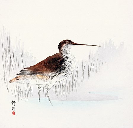 photo12.jpg