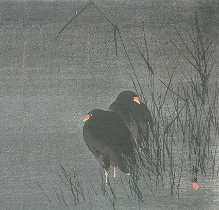 photo15.jpg