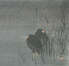 photo15_small.jpg