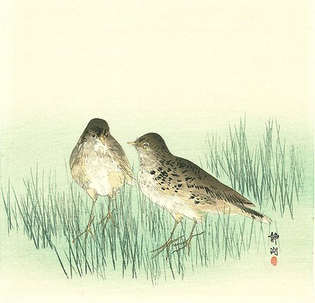 photo7.jpg