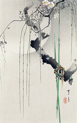 photo.jpg