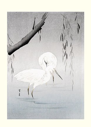 photo10.jpg