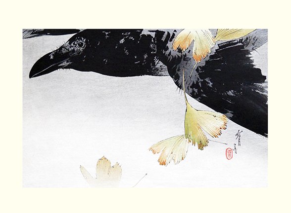 photo19.jpg