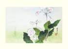 photo3_small.jpg