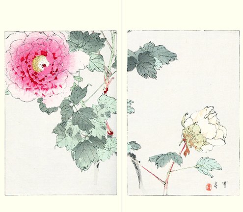 photo10.jpg