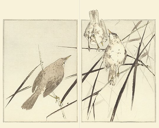 photo12.jpg