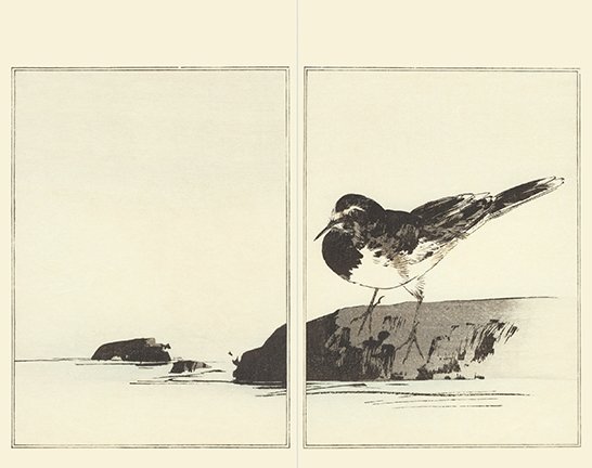 photo19.jpg