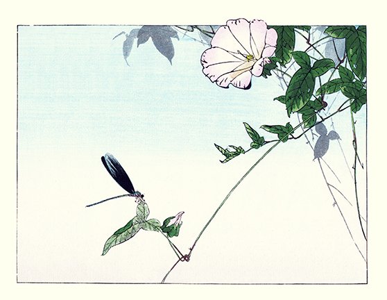 photo10.jpg
