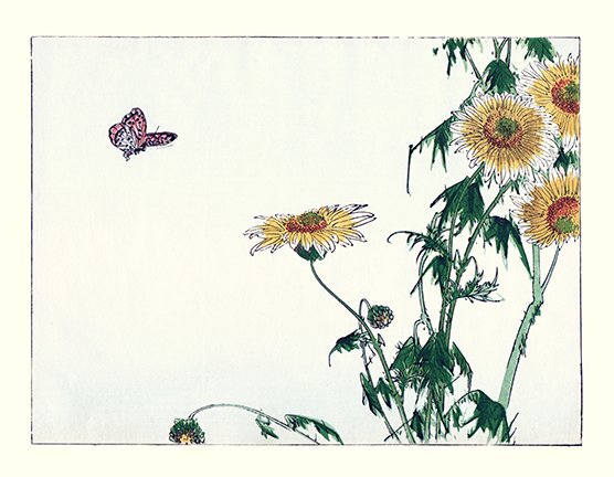 photo7.jpg