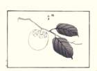 photo10_small.jpg