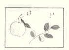 photo11_small.jpg