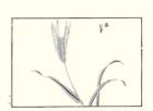 photo12_small.jpg
