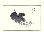 photo17_small.jpg