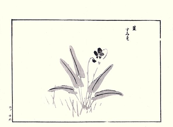 photo19.jpg