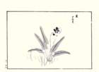 photo19_small.jpg