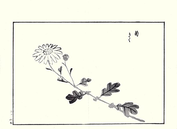 photo20.jpg