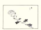 photo20_small.jpg