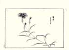 photo25_small.jpg