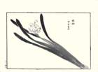 photo26_small.jpg
