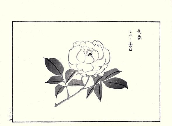 photo27.jpg