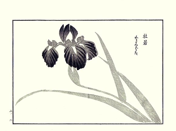 photo30.jpg