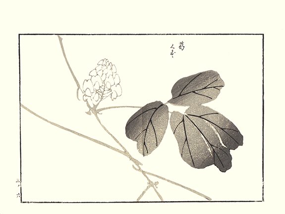 photo34.jpg