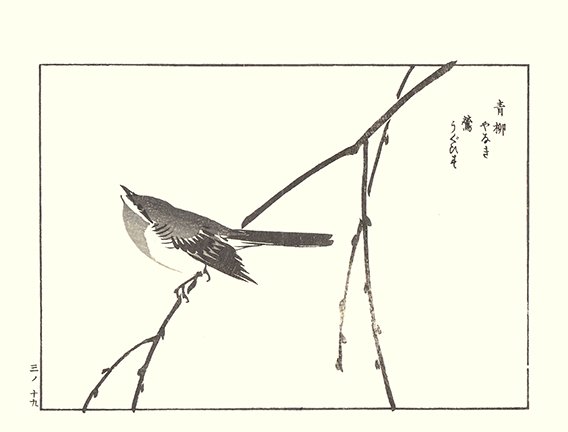 photo44.jpg