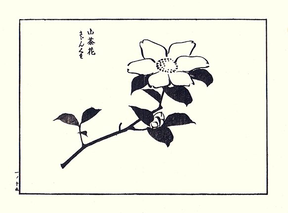 photo9.jpg