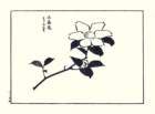 photo9_small.jpg