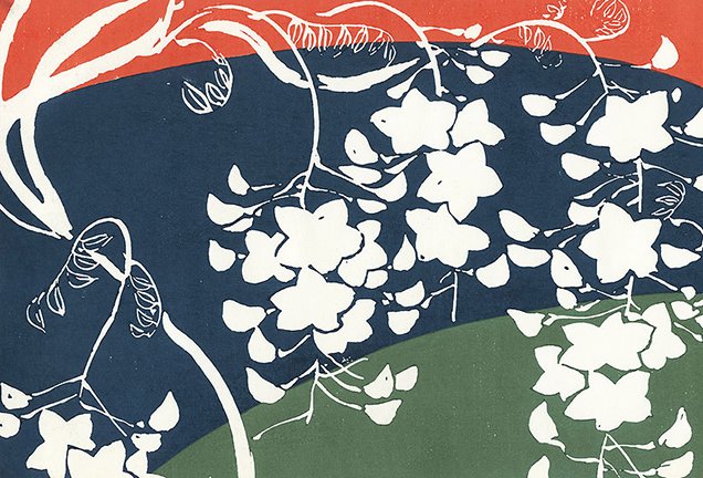photo20.jpg