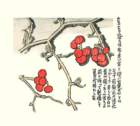 photo14_small.jpg