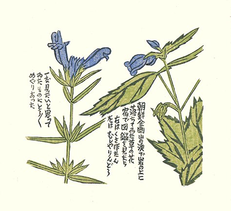 photo8.jpg