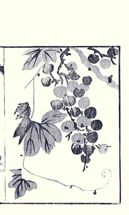 photo21.jpg